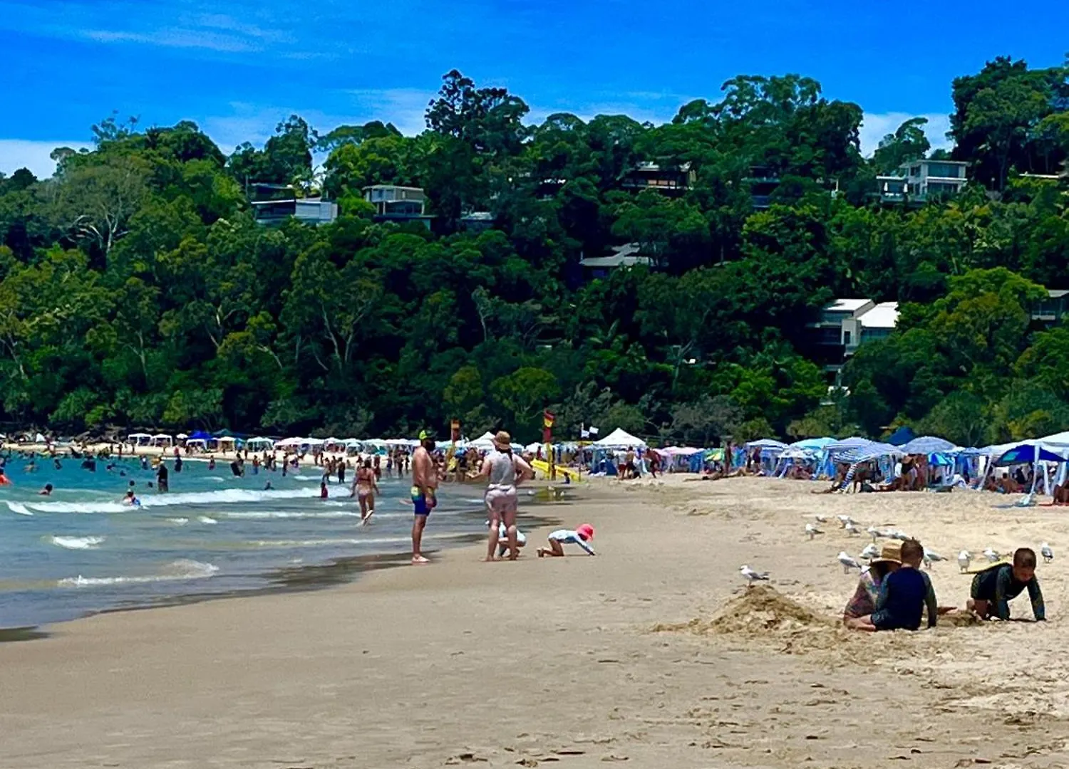 Apartment Noosa Bliss - Self Contained, Pool, Tennis, Gym